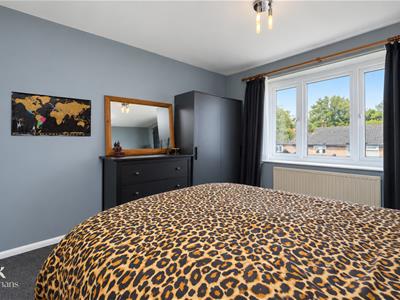 Picture 21